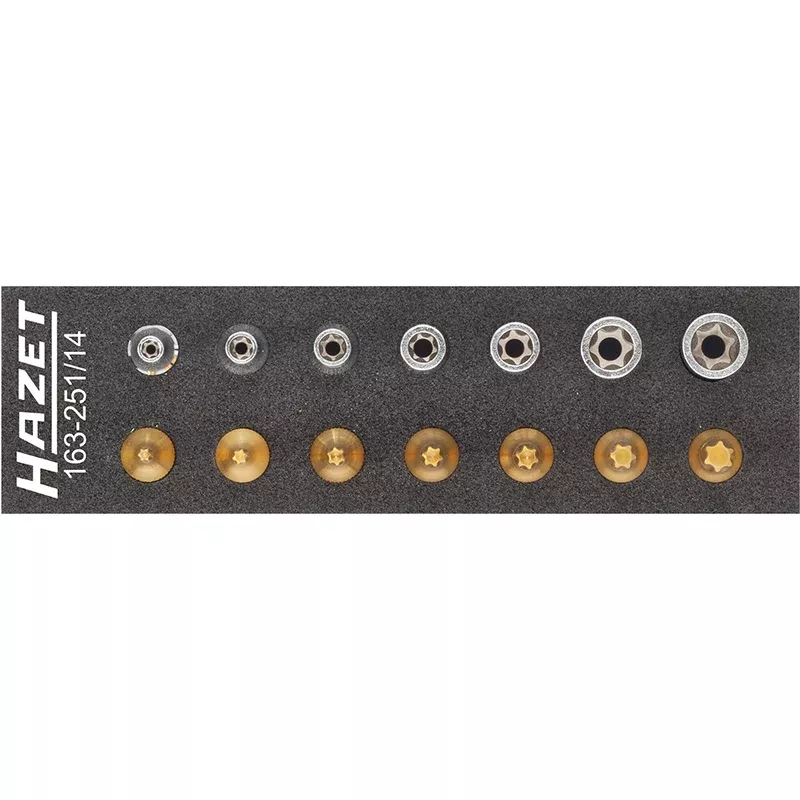 Hazet 163-251/14 TORX Tool Set, 14 Pieces