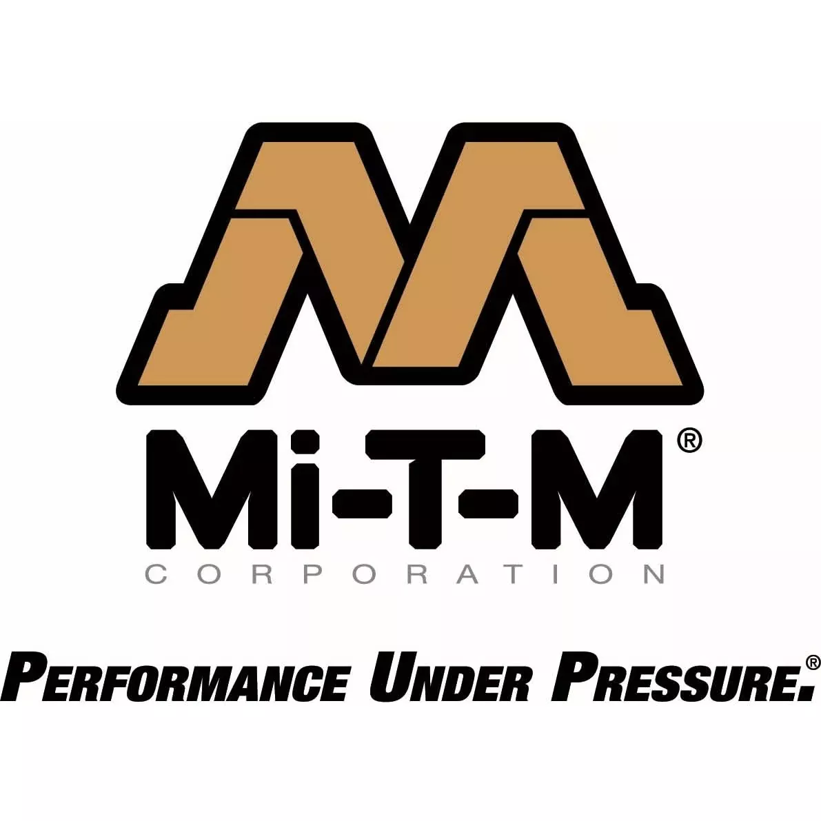 Mi-T-M AG2-PM14-08M1 8-Gallon Two Stage Gasoline Air Compressor/Generator Combination