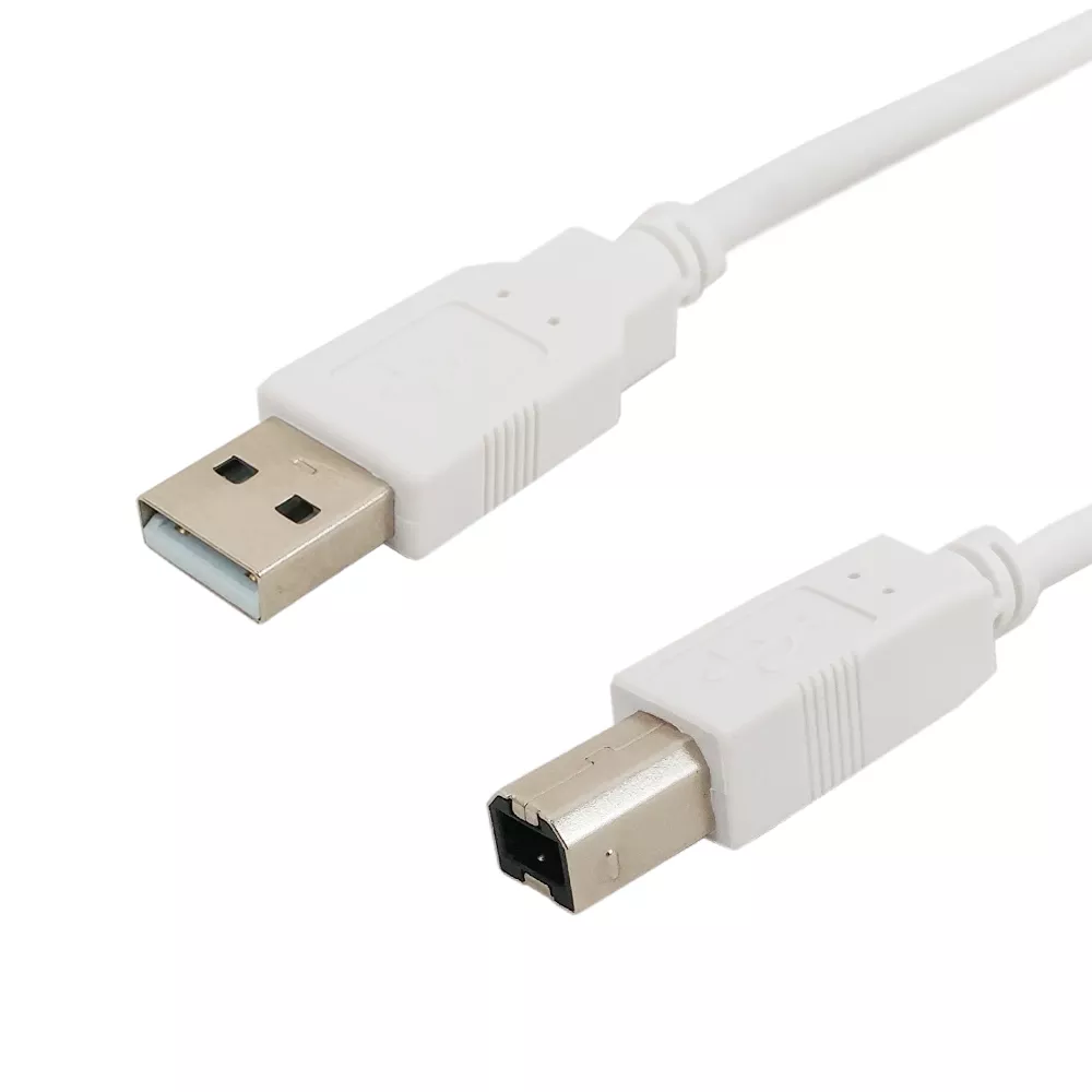 USB 2.0 A Male to B Male Hi-Speed Cable - 3 ft - White