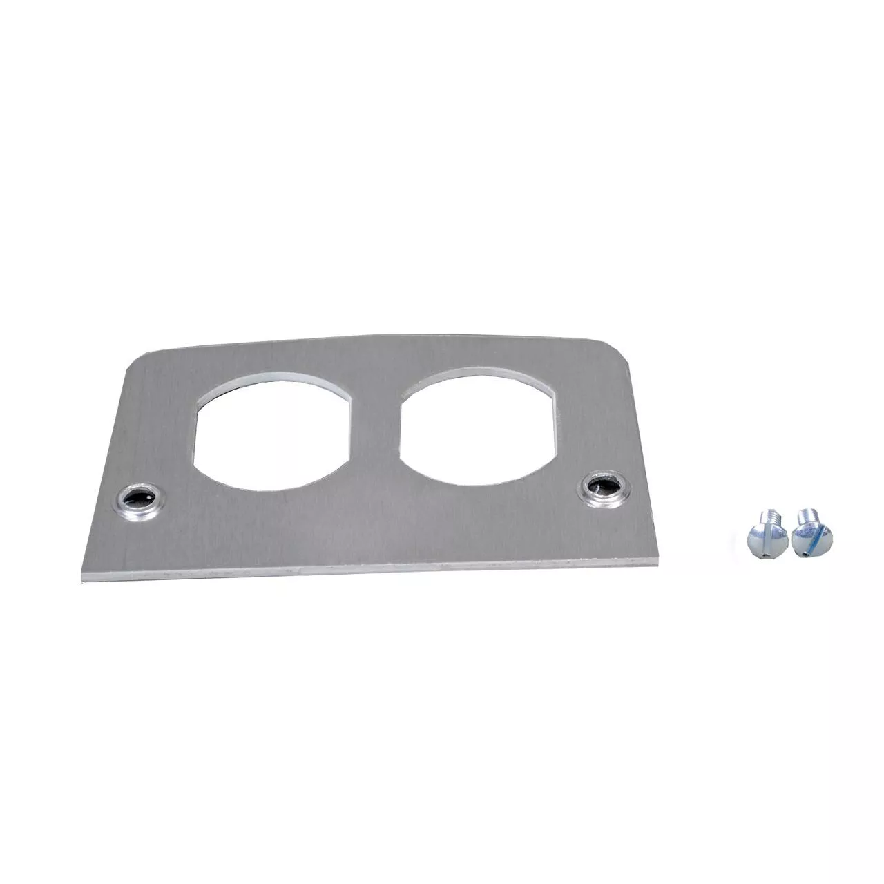 WIREMOLD 500D 525 Series Duplex Faceplate, Silver